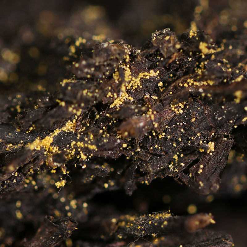 白沙溪安化黑茶金花獲磚特級御品獲茶318g